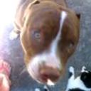Chester