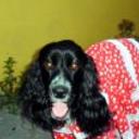 Pascuala