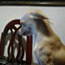 Chiquitico