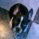 Cloe