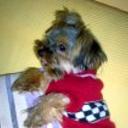 Panchito
