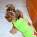 Panchito