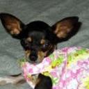Lola