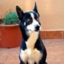 Chester