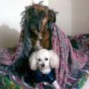 Laica y toby