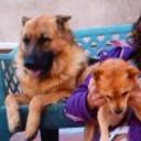 Simba rex y aquira