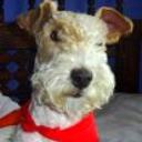 Tobby
