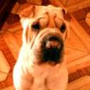 Bayron
