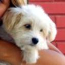 Chiky