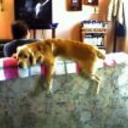 Rony