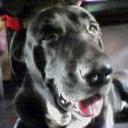 Baldor