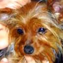 Danna