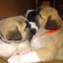 Cass y blay