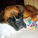 Kora de atopesiempre