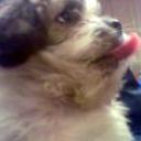 Tony