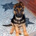 Jack