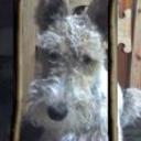 Filippo