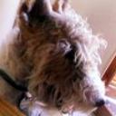 Filippo