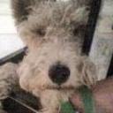 Filippo