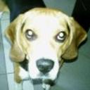 Lucas