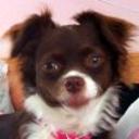 Emy