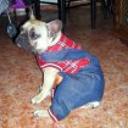 Lucas