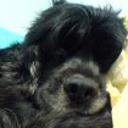 Tobby