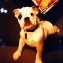 Matheo