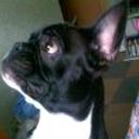 Lola