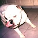 Matheo