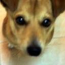 Tomy