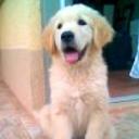 Millan