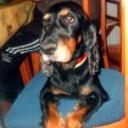 Liuck