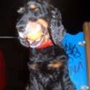 Liuck