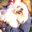 Gussy