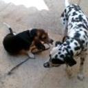 Princesa y manchitas