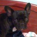 Lola