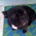 Lola
