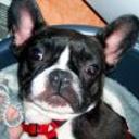 Lola