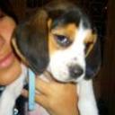 Zury