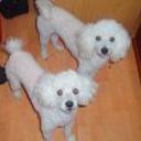 Nita y spuk