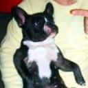Lola