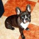 Lola