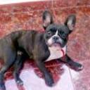 Lola