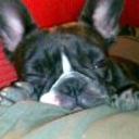 Lola