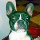 Lola