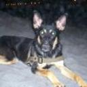 Layka