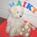 Maiky