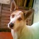 Yasin