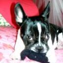Cloe